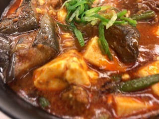 8B5E2F32-AC48-406E-9F69-42FF0244CAA1.jpeg