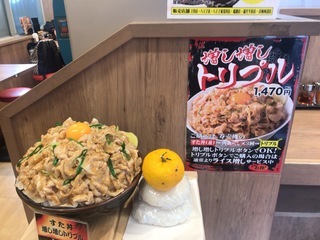 1月4日昼食 伝説のすた丼屋 増し増しトリプルすた丼 ライトベイダー Lightvader のグルメ日記