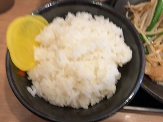 IMG_0073.jpeg