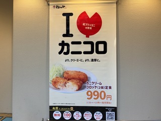 IMG_0252.jpeg