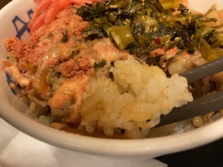 IMG_0570.jpeg