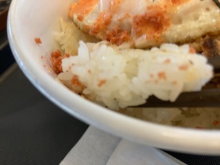 IMG_0639.jpeg