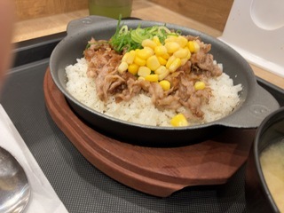 IMG_2347.jpeg