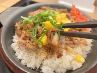 IMG_2352.jpeg