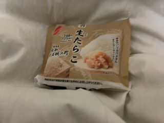 IMG_2490.jpeg