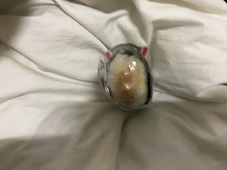 IMG_2760.jpeg