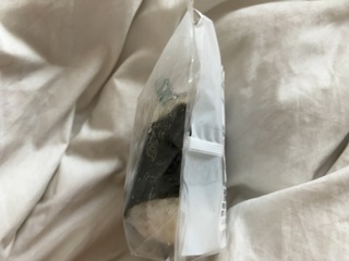 IMG_3969.jpeg