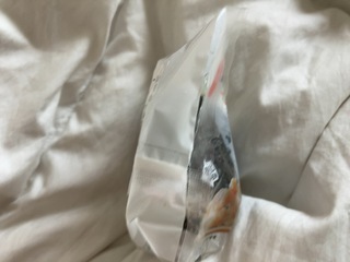 IMG_3970.jpeg