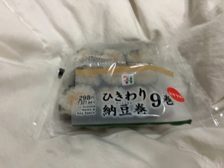IMG_4230.jpeg