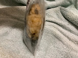 IMG_4240.jpeg