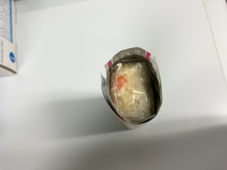IMG_5252.jpeg