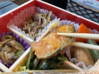 IMG_5267.jpeg