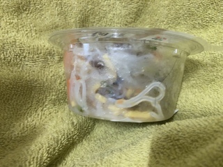 IMG_7113.jpeg