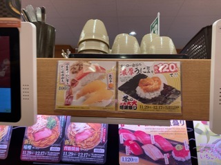 IMG_7726.jpeg