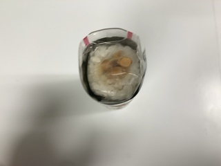 IMG_7996.jpeg