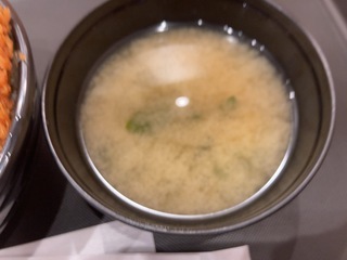 IMG_8036.jpeg